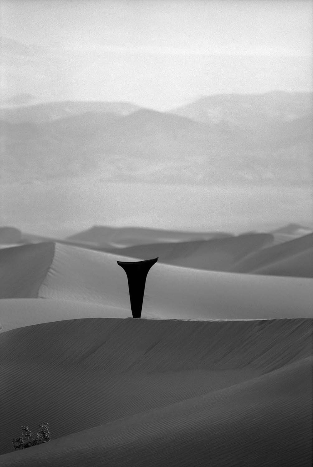 FORM